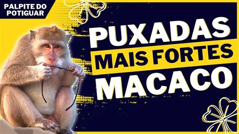 puxada do macaco